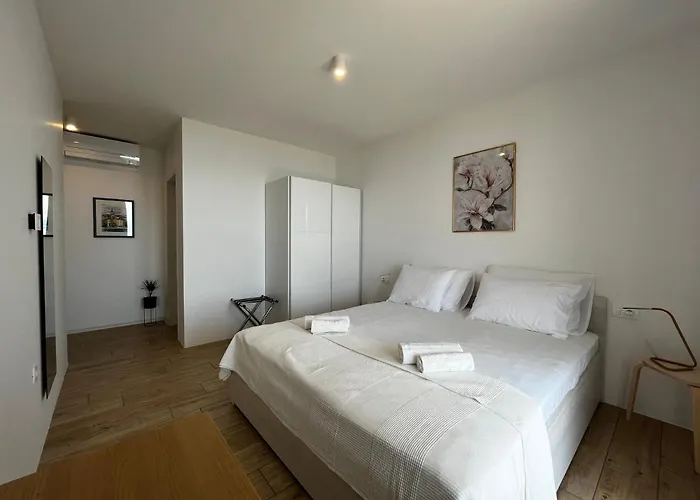 Zara Bella Vista * Кострена